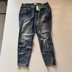 Lane Bryant Distressed Blue Jeans